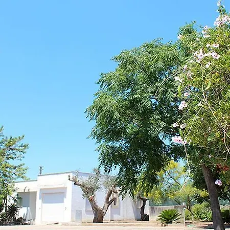 Villeriunite - Ginestra Gallipoli