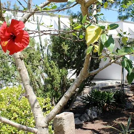 Casa vacanze Villeriunite - Ginestra Gallipoli