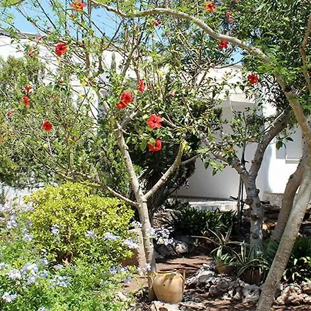 Villeriunite - Ginestra Casa vacanze *