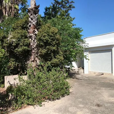 Villeriunite - Ginestra Gallipoli