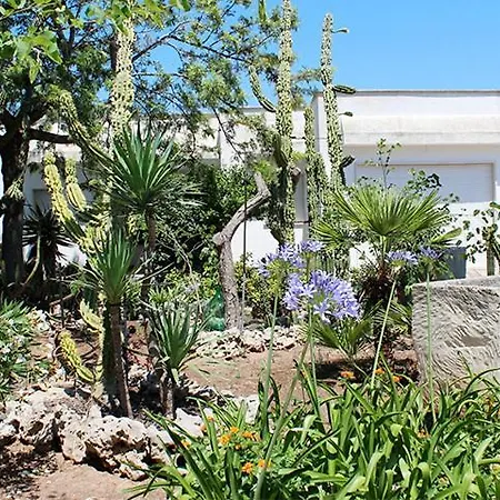 Villeriunite - Ginestra * ガリポリ