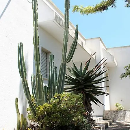 Villeriunite - Ginestra ガリポリ