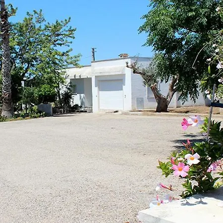 Villeriunite - Ginestra *