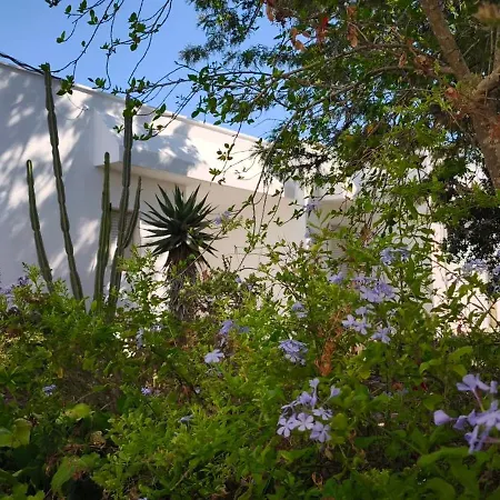 Villeriunite - Ginestra