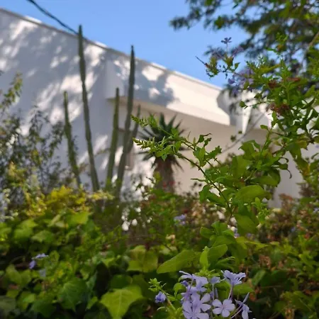 Villeriunite - Ginestra Dom wakacyjny *