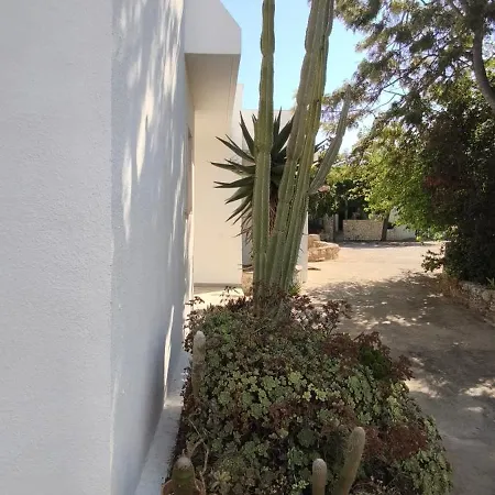 Villeriunite - Ginestra *