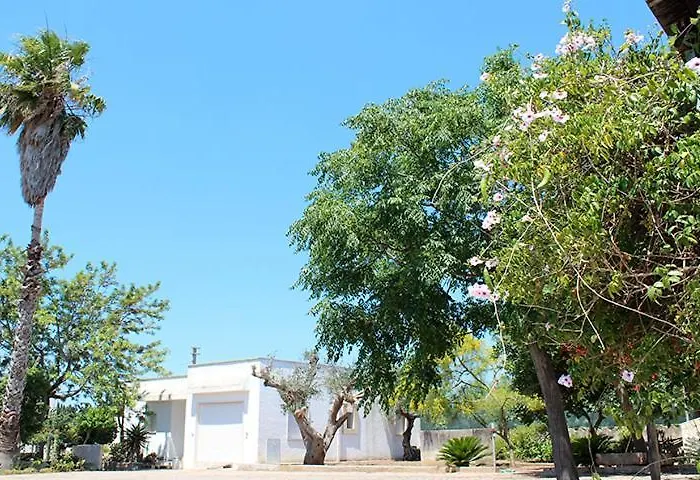 Villeriunite - Ginestra Gallipoli