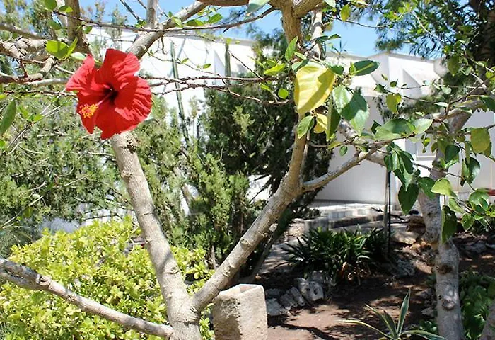 Casa de Férias Villeriunite - Ginestra Gallipoli