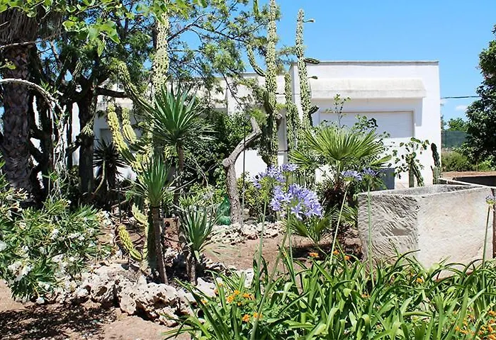 Villeriunite - Ginestra * Gallipoli