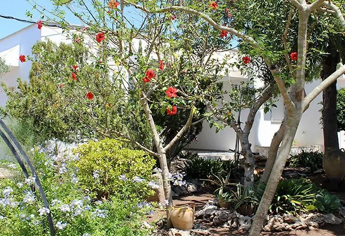 Villeriunite - Ginestra Holiday home *