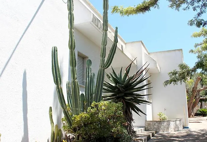 Villeriunite - Ginestra Gallipoli