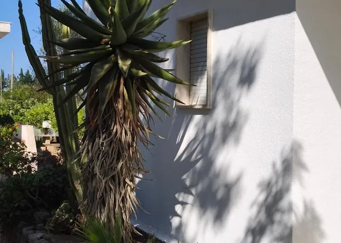 Villeriunite - Ginestra Holiday home