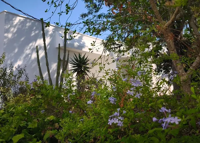 Villeriunite - Ginestra