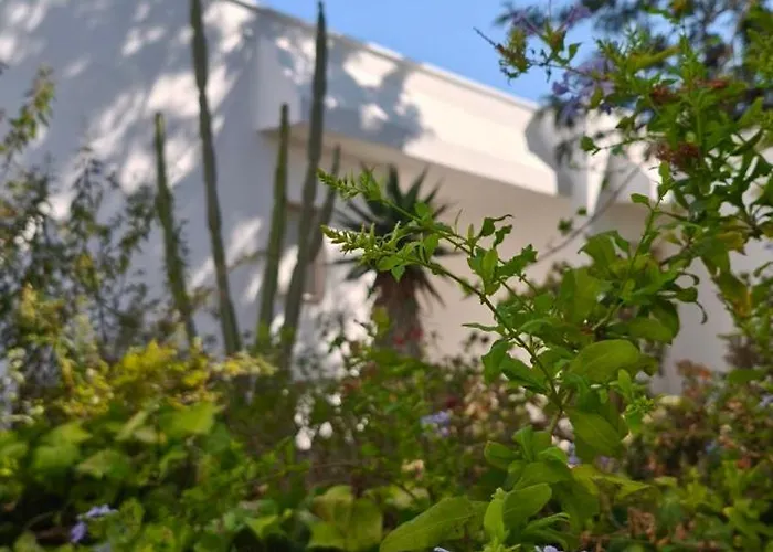 Villeriunite - Ginestra Holiday home *